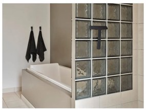 Čierny nástenný kovový háčik Ume – Zone