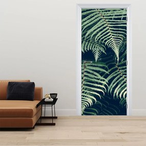 Fototapeta na dvere - Listy papradí (95x205cm)