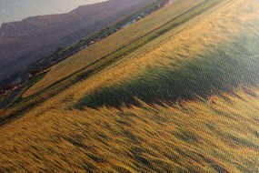 Obraz západ slnka nad pšeničným poľom - 150x50