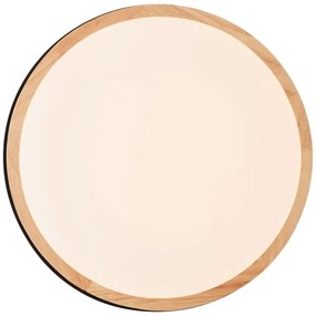 Brilliant - LED St. stropné svietidlo BAARLO LED/24W/230V pr. 35 cm čierna