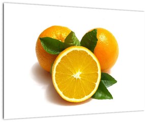 Pomaranče - obraz