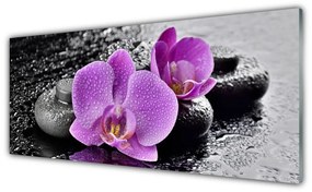 Obraz plexi Orchidea kvety kamene zen 125x50 cm