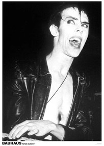 Plagát, Obraz - Peter Murphy of Bauhaus