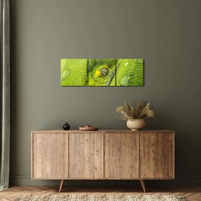 Obraz hada (s hodinami) (90x30 cm)