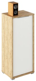 Skrinka, dub artisan/biela, RIOMA TYP 10