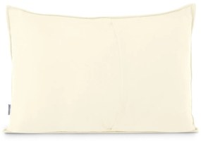 AmeliaHome Obojstranná obliečka na vankúš Plasha béžová, 50 x 70 cm, 2 ks