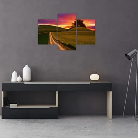 Obraz poľa pri západe slnka (90x60 cm)