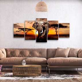 Artgeist Obraz - Wandering Elephant (5 Parts) Wide Veľkosť: 225x100, Verzia: Na talianskom plátne