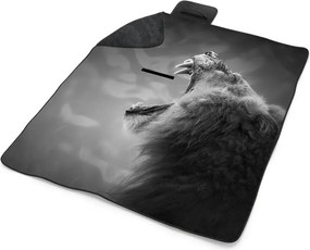 Sablio Plážová deka Revúci lev: 200x140 cm