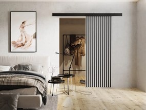 Interiérové posuvné dvere Boxdis 70, Farba:: Grafit antracit/Čierna
