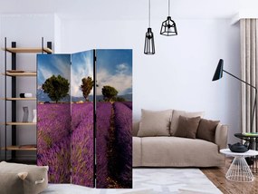 Artgeist Paraván - Lavender field in Provence, France [Room Dividers]