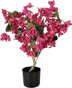 Stromček s ružovými kvetmi Bougainvillea Tree - 30*30*90 cm