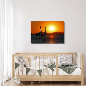 Obraz vtákov pri západe slnka (90x60 cm)
