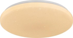 Rabalux 71446 - LED stmievateľné stropné svietidlo DANNY 2 LED/34W/230V 3000-6500K priemer 38 cm + diaľkový ovládač