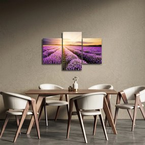 Obraz - Východ slnka v levanduľovom poli (90x60 cm)