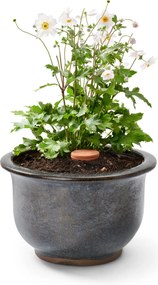 Hlinené zavlažovacie kužele, veľké, 2 ks