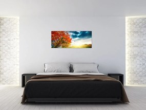 Obraz krajiny zaliate slnečným svitom (120x50 cm)