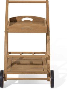 Barový vozík s odoberateľným podnosom