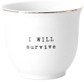 Bella Rose Porcelánový obal na kvetináč I will survive 10 cm