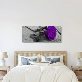 Obraz - Fialová ruža so zelenou stonkou (120x50 cm)