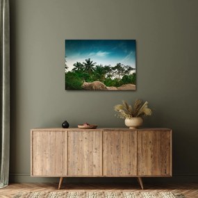 Obraz - palmy (70x50 cm)