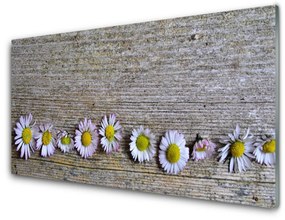 Obraz plexi Sedmokráska rastlina príroda 120x60 cm
