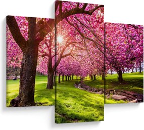 Obraz rozkvitnutých čerešní, Hurd Park, Dover, New Jersey (90x60 cm)