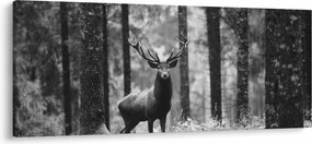 Obraz - Jeleň v lese 2, čiernobiela (120x50 cm)