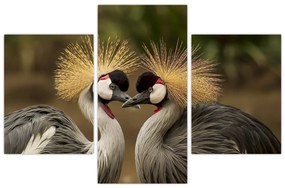 Obraz na stenu - zvieratá