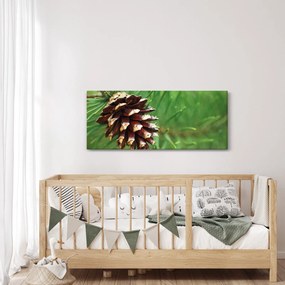 Obraz šišky (120x50 cm)