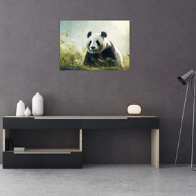 Obraz - Panda (70x50 cm)