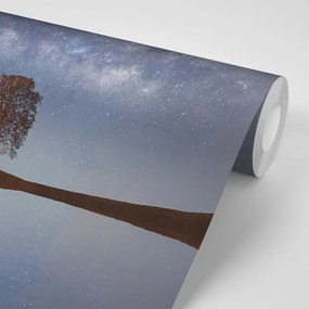 Samolepiaca fototapeta hviezdna obloha nad osamelým stromom - 150x100