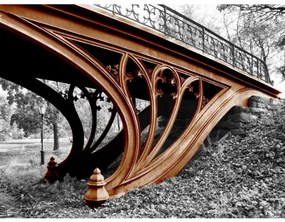 Obraz tlačený na plátne 75x100 PRC1141