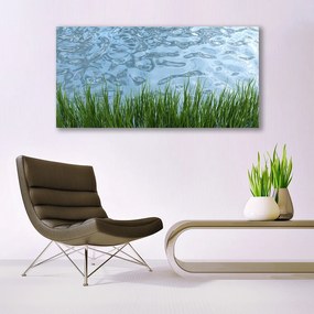 Obraz plexi Tráva voda príroda 120x60 cm