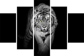Obraz - Tiger so žltými očami (150x105 cm)