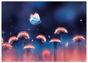 Obraz púpav s modrým motýľom (70x50 cm)