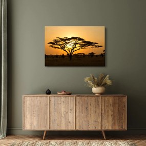 Obraz - Africká savana (90x60 cm)