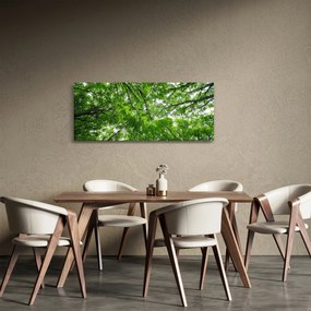 Obraz - Pohľad do korún stromov (120x50 cm)