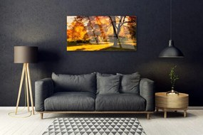 Skleneny obraz Stromy jeseň príroda 100x50 cm