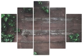 Obraz - Brečtan (150x105 cm)