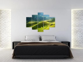Obraz - Koncert ryžových terás (150x105 cm)