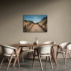 Obraz - Na chodníku (70x50 cm)