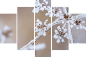 Obraz - Mráz (150x105 cm)
