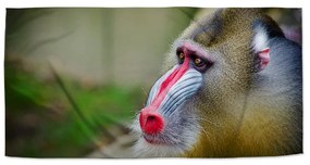 Sablio Uterák Mandril - 50x100 cm