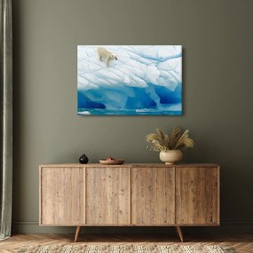 Obraz - Polárny medveď (90x60 cm)