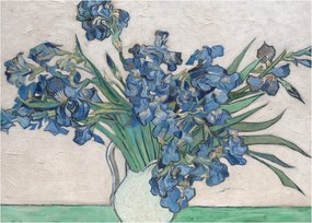 Obraz - Vincent van Gogh, Irises, reprodukcia (70x50 cm)