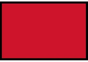 Navrhnuteľná rohožka Flat Prémium (Vyberte veľkosť: 75*50 cm, Vyberte farbu: 055 Červená)