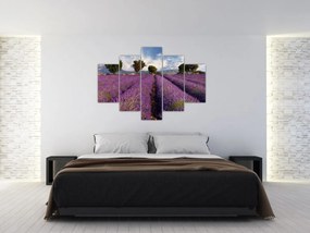 Obraz - Levanduľové pole a hory (150x105 cm)