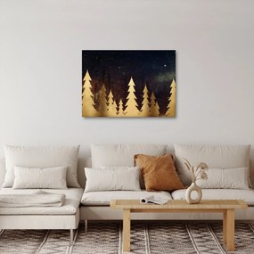 Obraz - Zlatá noc (70x50 cm)