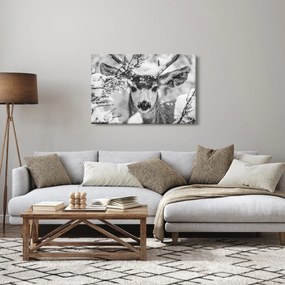 Obraz - Jeleň v zime (90x60 cm)